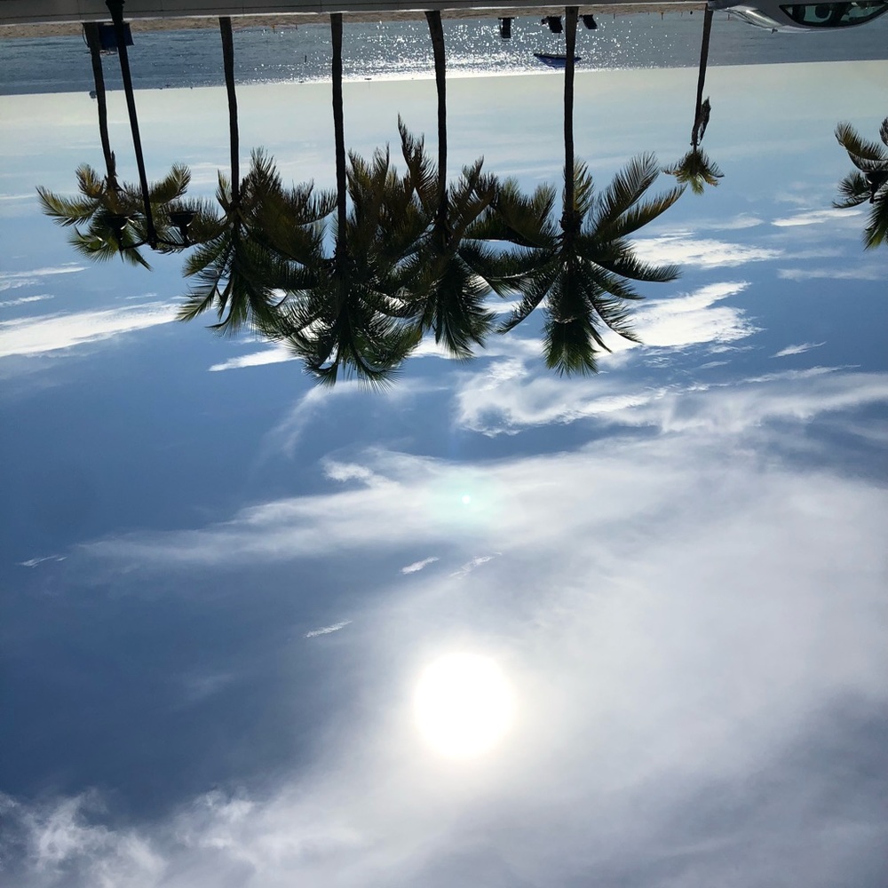 Meet your Posher, Margie